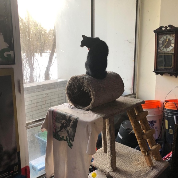 ART - Picture 4 of 16